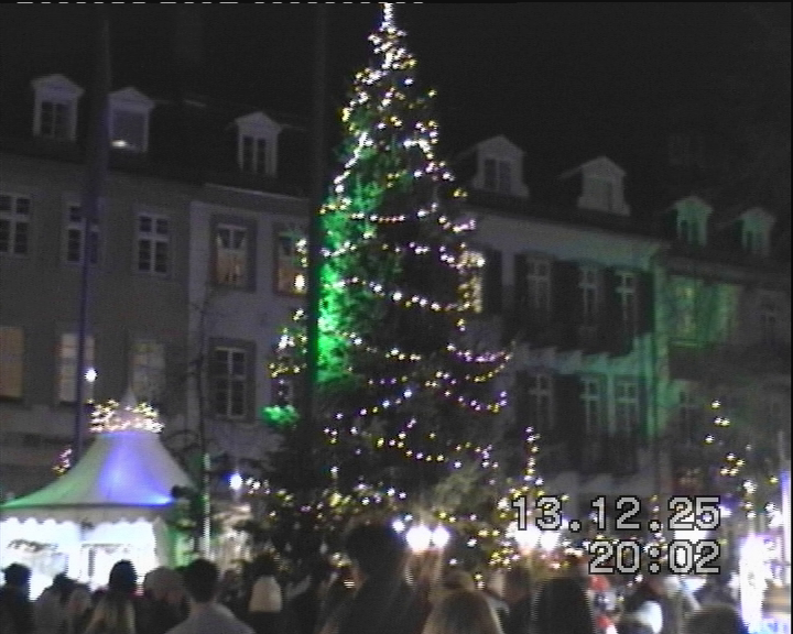 Big Tree